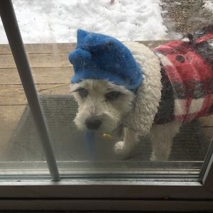 Meet your Posher, Merryl